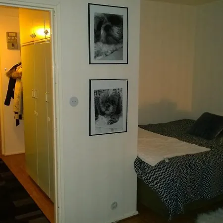 Apartman Kaksio Keskustassa Jarven Rannalla *